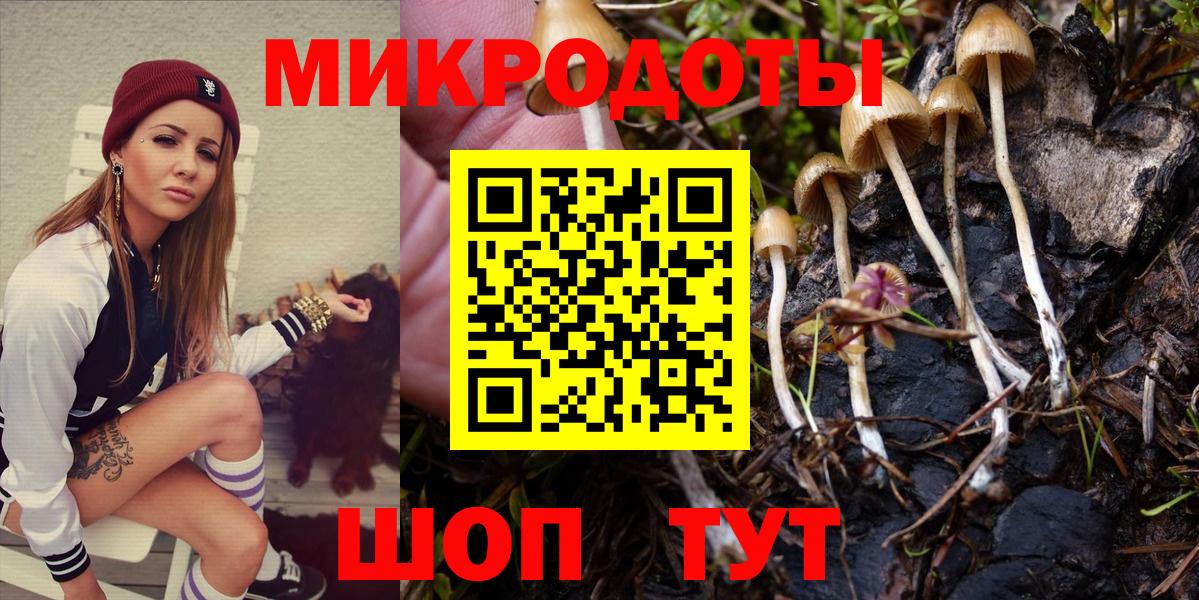 Галлюциногенные грибы прущие грибы Туапсе