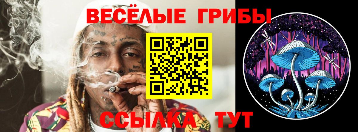 где продают наркотики  Вход с VPN  Туапсе  Галлюциногенные грибы MAGIC MUSHROOMS 